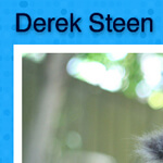 Derek Steen